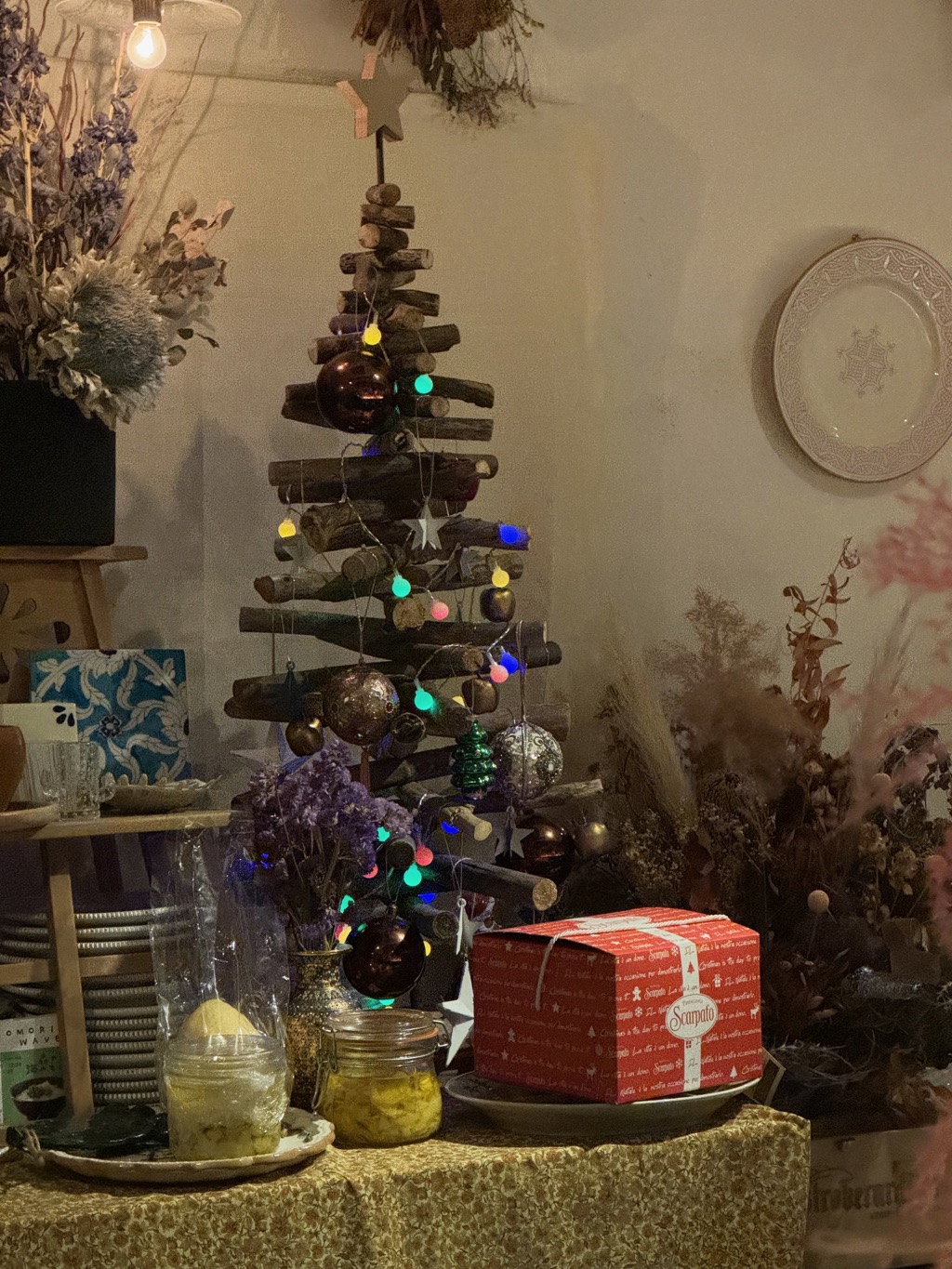 ブラチェリアカクタス