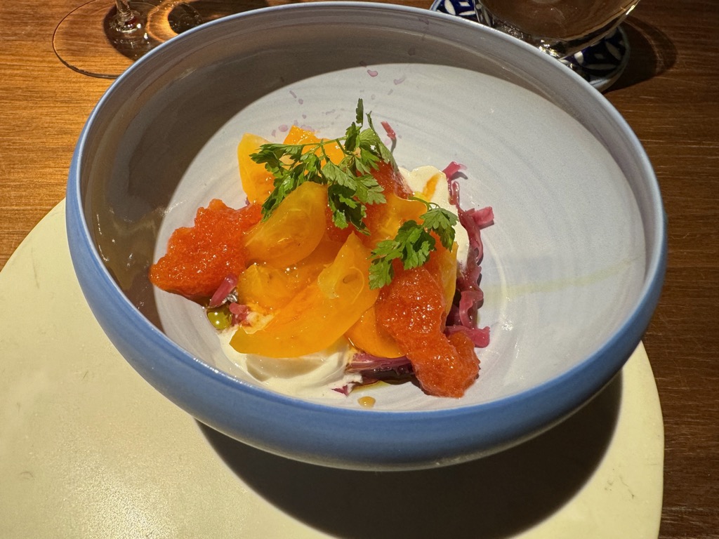 ブラチェリアカクタス