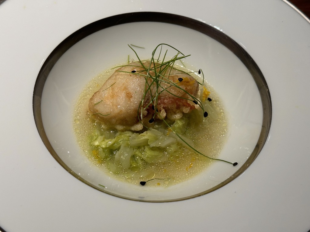 ブラチェリアカクタス