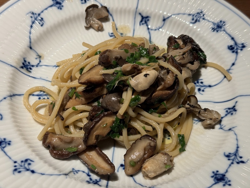 ブラチェリアカクタス