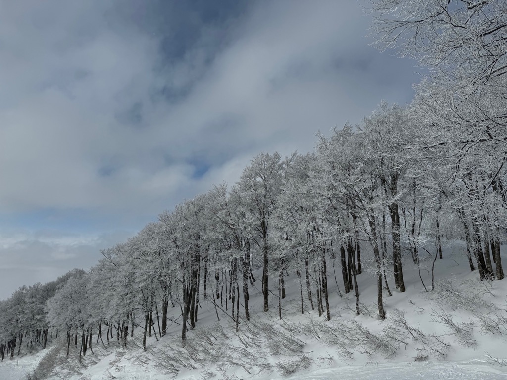 八海山スキー場