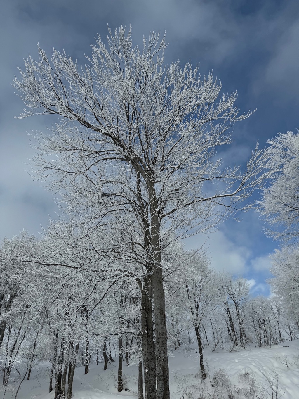 八海山スキー場