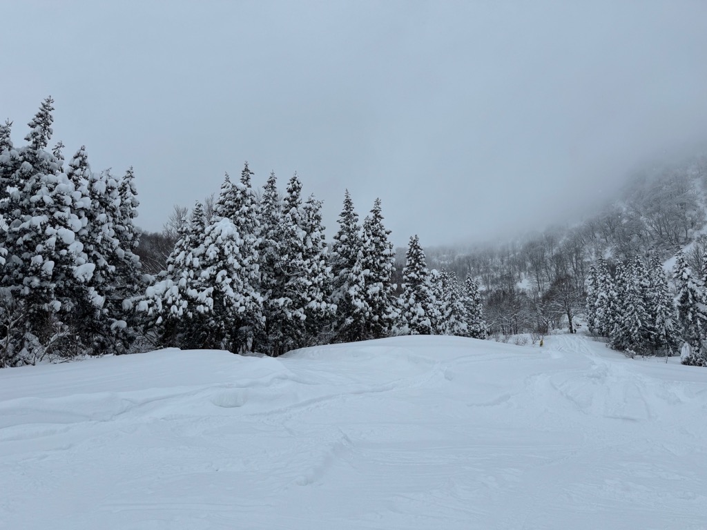 八海山スキー場