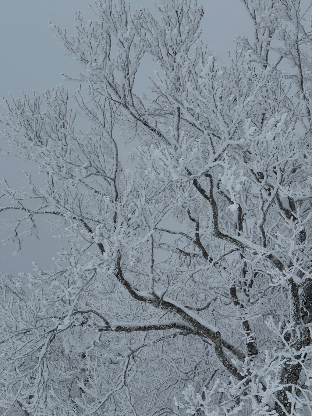 野沢温泉スキー場