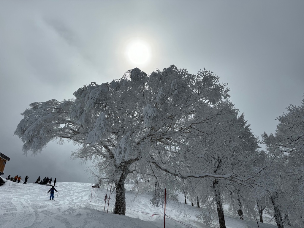 野沢温泉スキー場