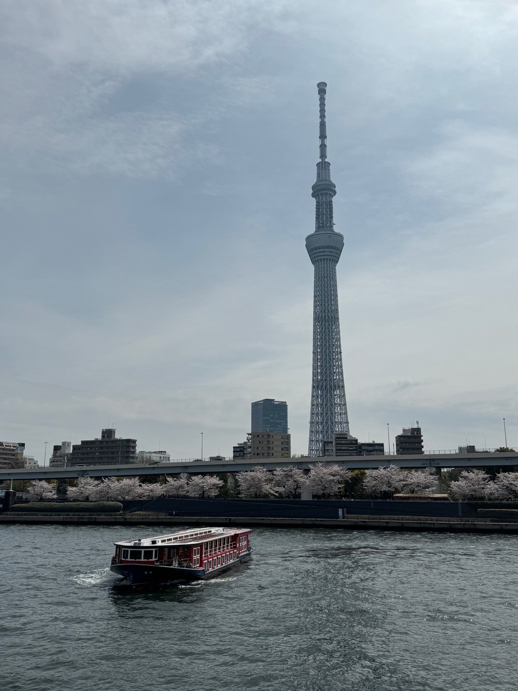 スカイツリー