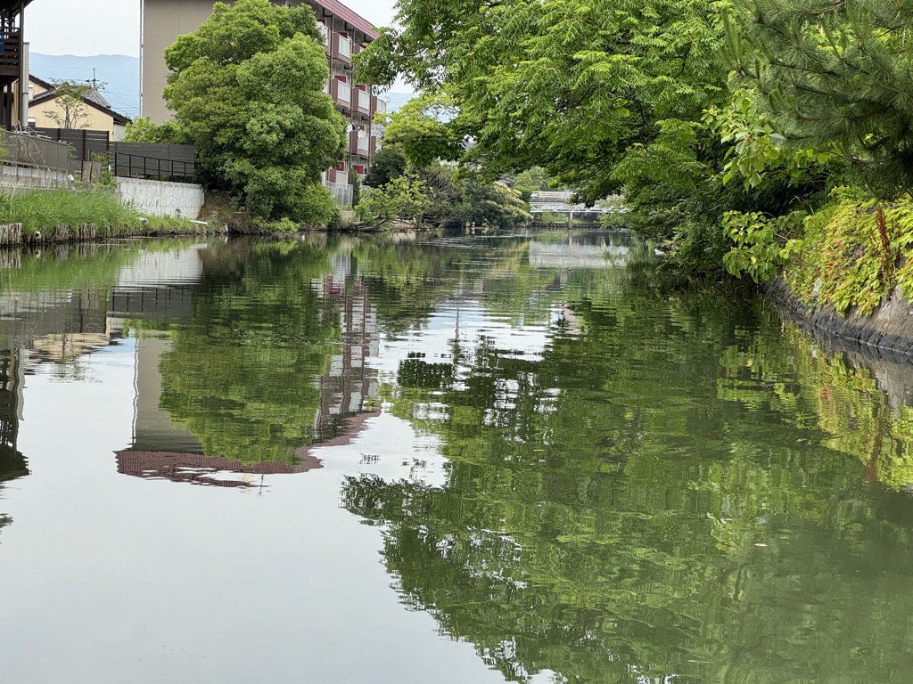 堀川めぐり